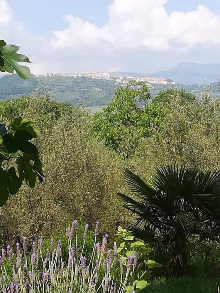 Фото Agriturismo le Cammarose