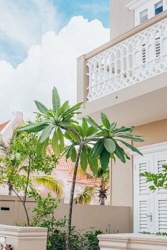 Гостиница Terra Boutique Hotel на Кюрасао