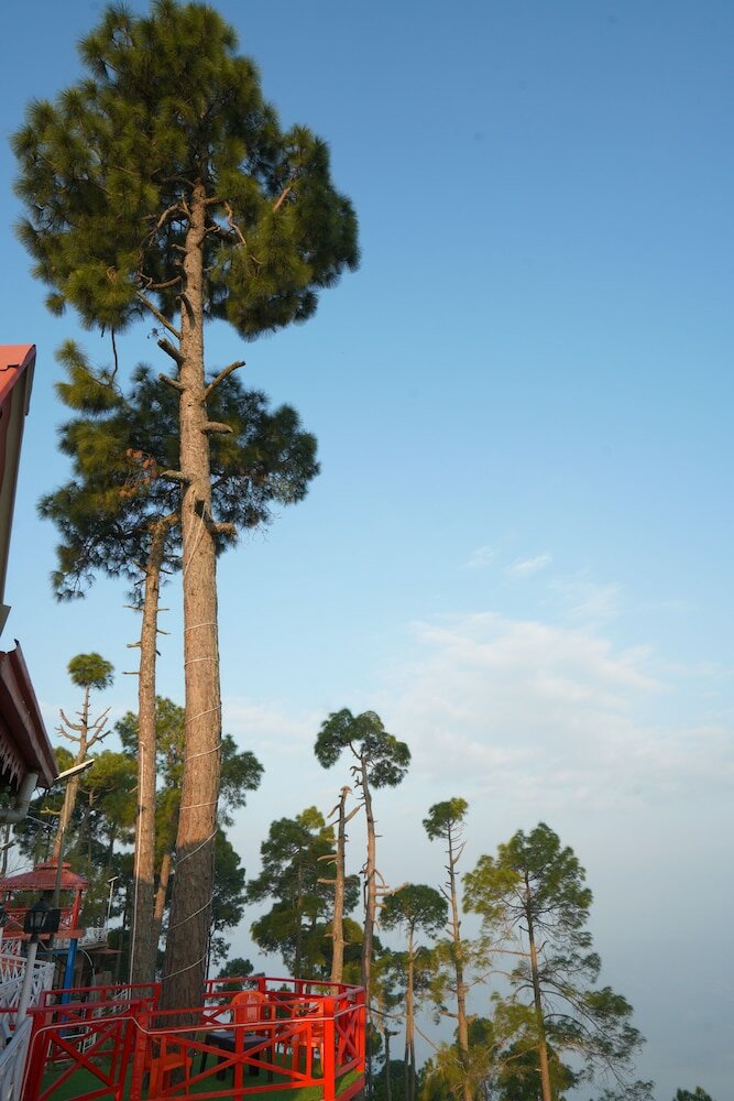 Фото Kasar Serenity Almora