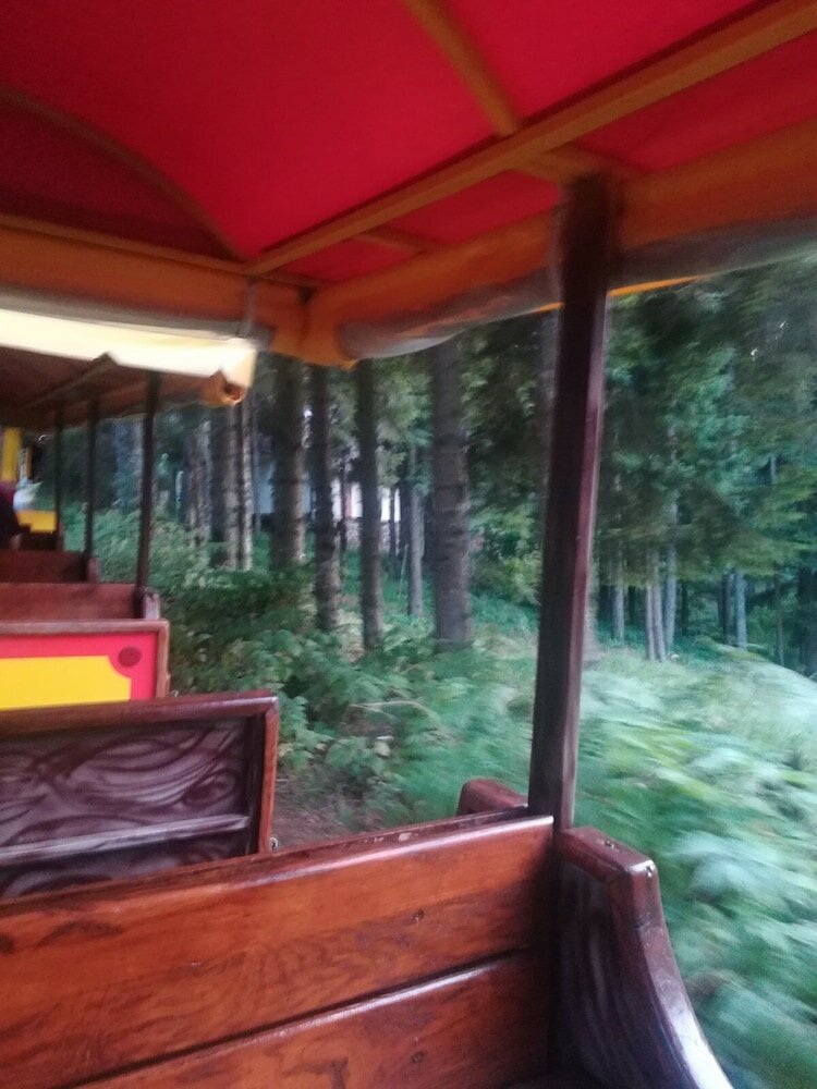 Фото Hotel Royal Mountain