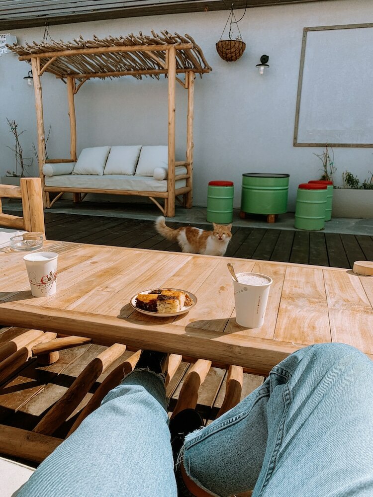 Фото Domus Bat Galim Hotel