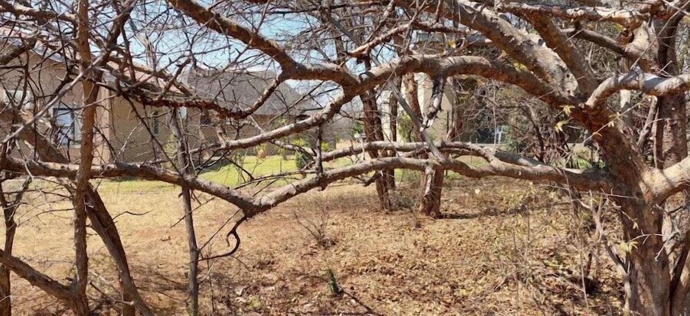 Фото Paje Bush Hotel