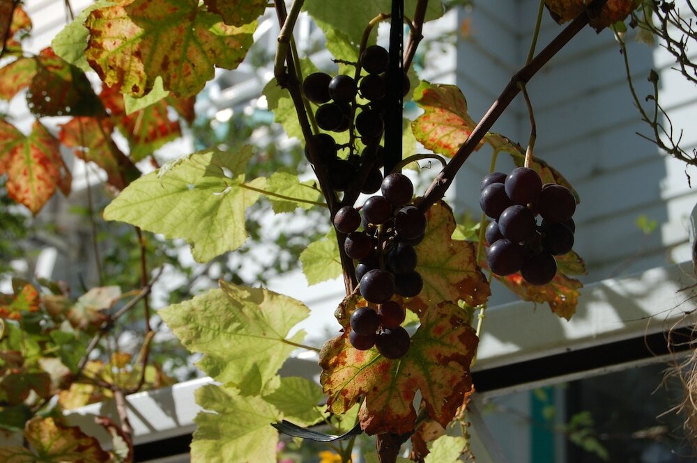 Фото Onsen Pension Hanasakiyama