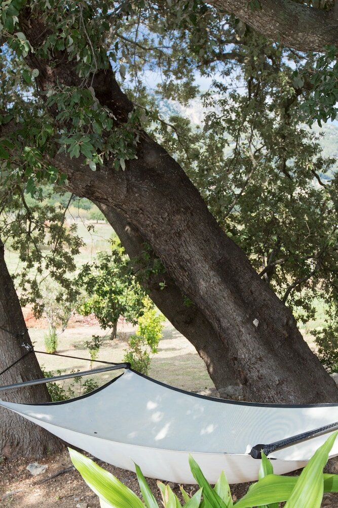 Фото Son Ametler