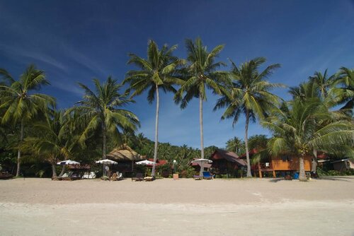 Гостиница Palm Leaf Resort