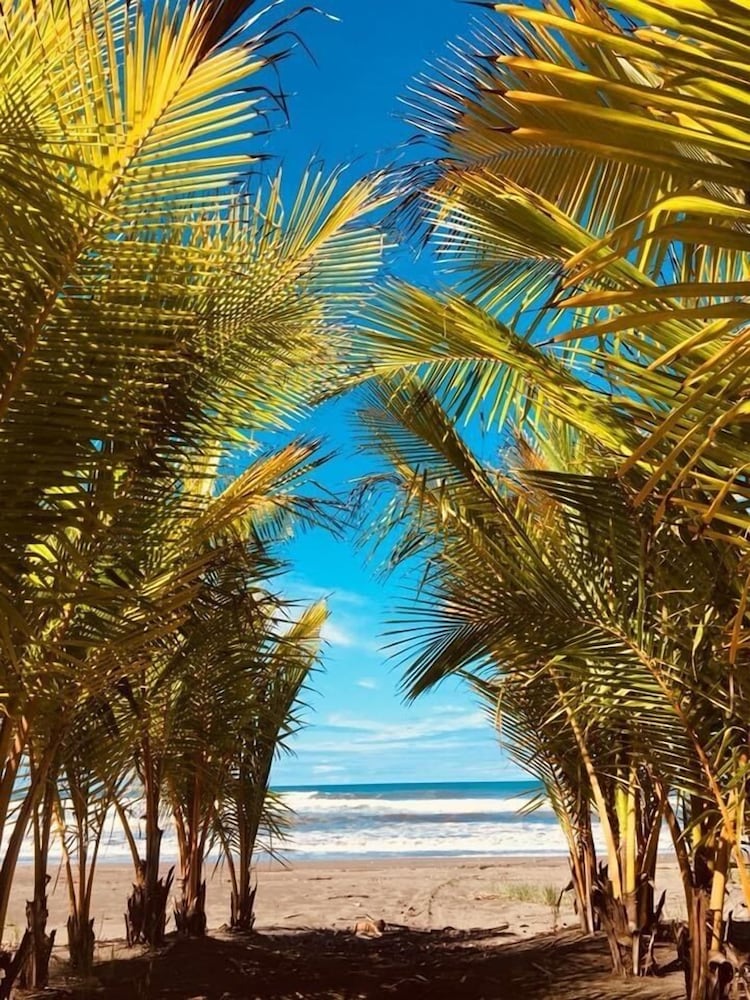 Фото Hotel Delfin Playa Bejuco