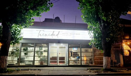 Гостиница Hotel boutique Trinidad в Винья-дель-Мар
