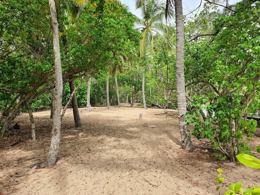 Фото Studio abricot 309