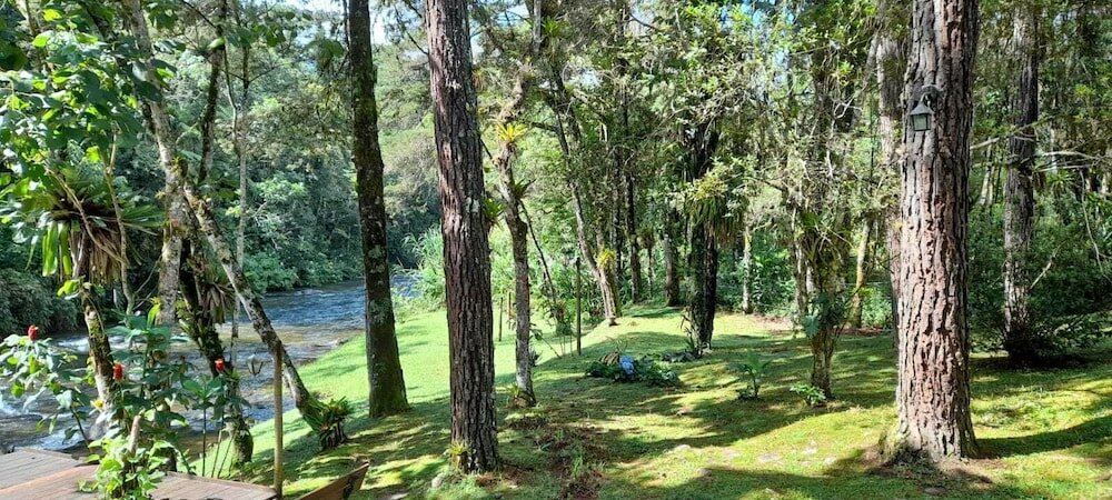 Фото Pousada Bosque do Visconde