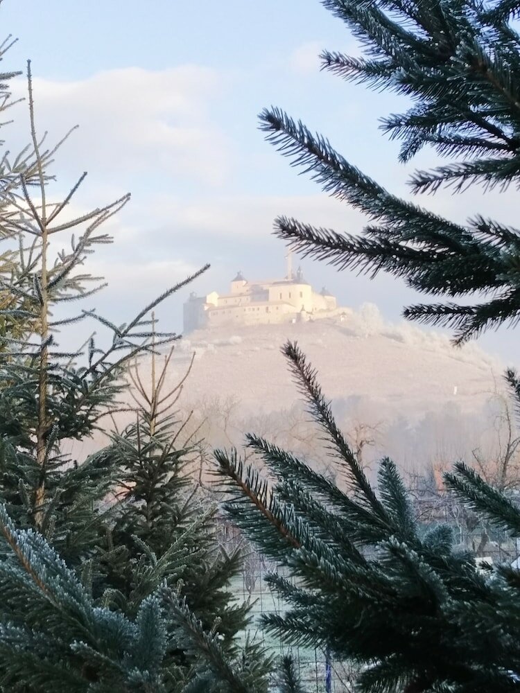 Фото András pension