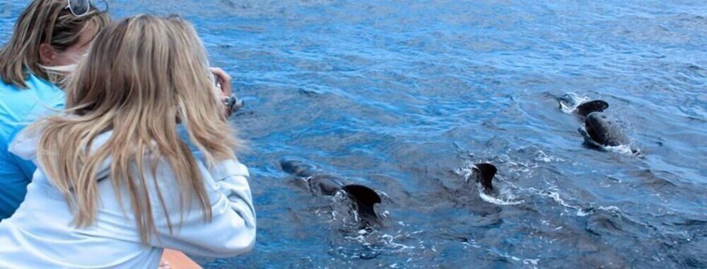 Фото Atrium Hotel