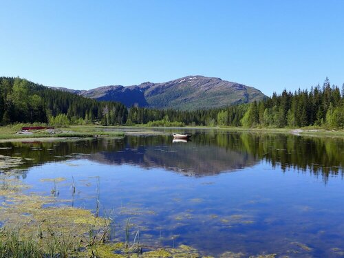Гостиница Velfjord camping & hytter в Бреннейсунне