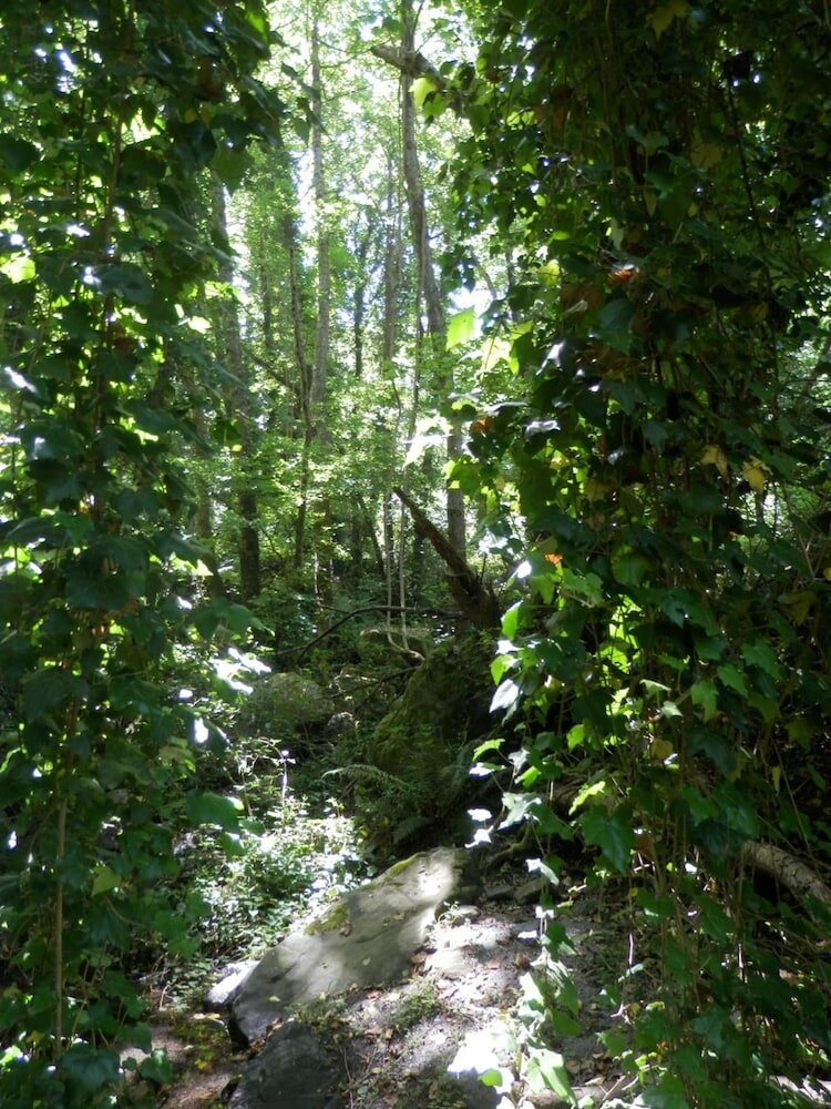 Фото La Quercia Agriturismo