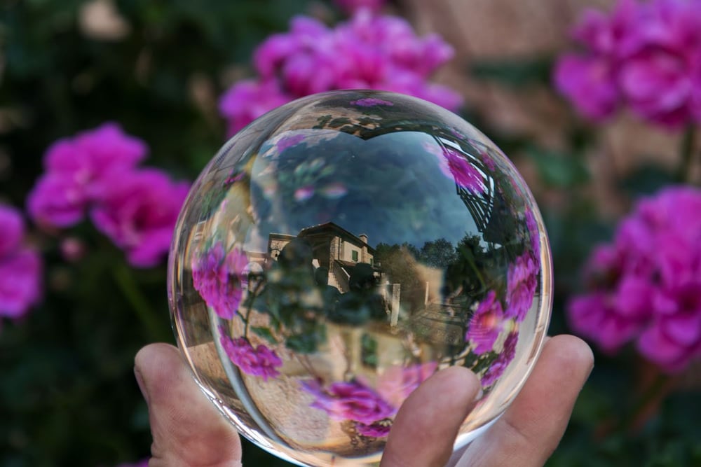 Фото B&b Le Nosare