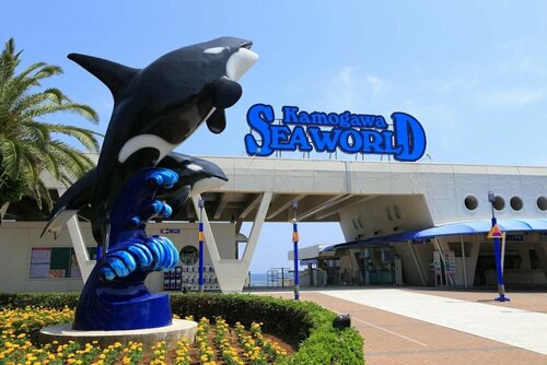 Гостиница Kamogawa Sea World Hotel