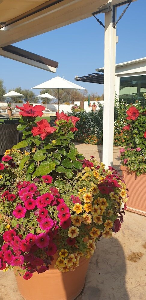 Фото Hotel Corallo