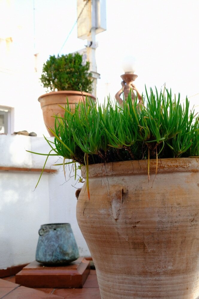 Фото Hotel La Caleta de Tamariu