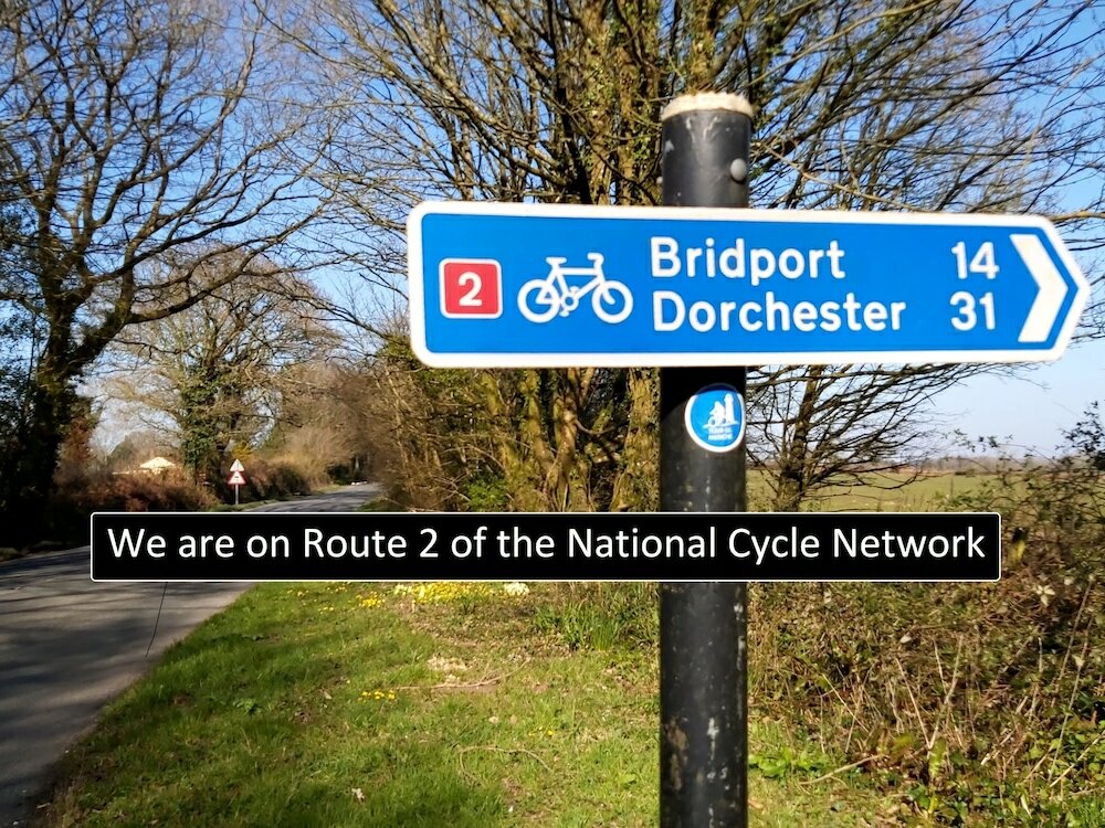 Фото Netherleigh Bed & Breakfast