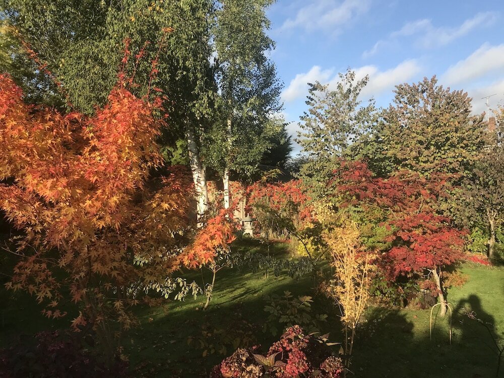 Фото Little Dane Court