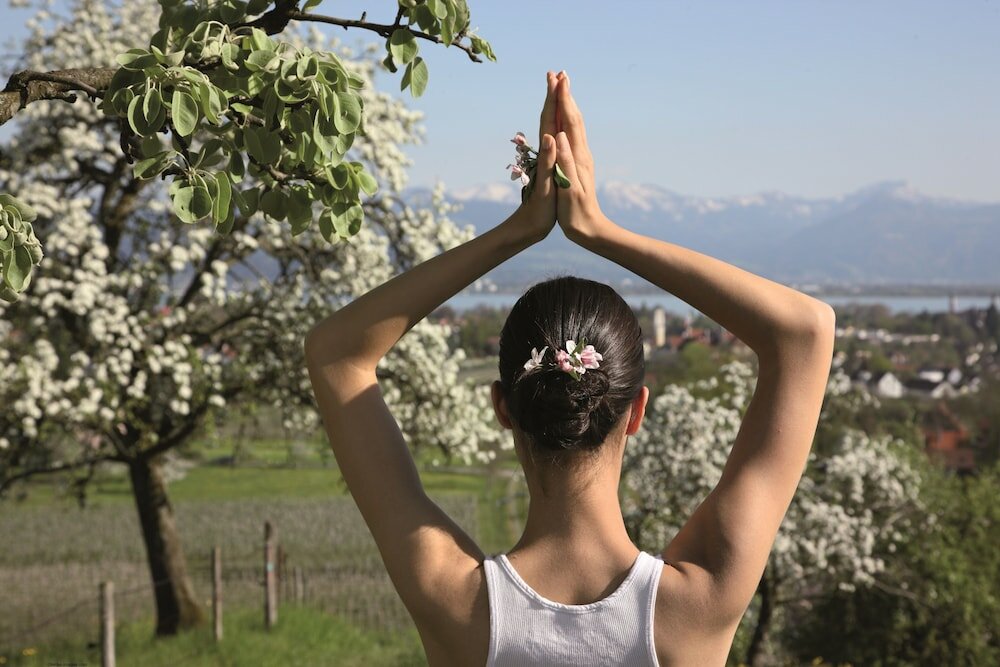 Фото Wellnesshotel Golf Panorama