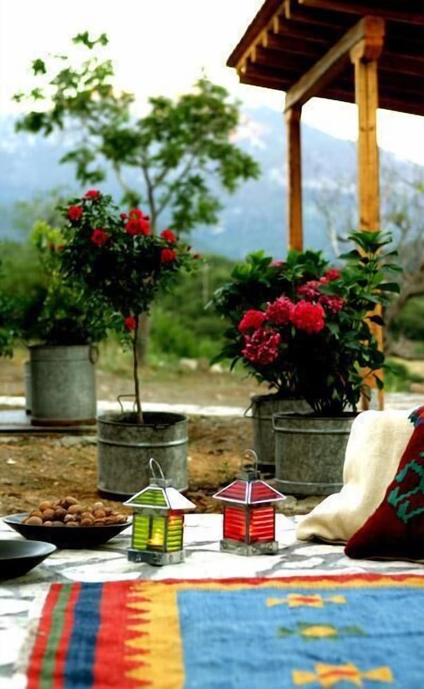 Фото Hotel Papanikola