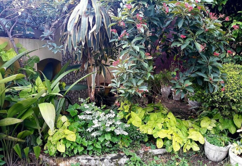 Фото Hotel Pathik