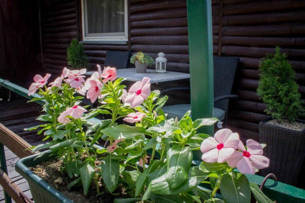 Фото Lucky River Belgrade