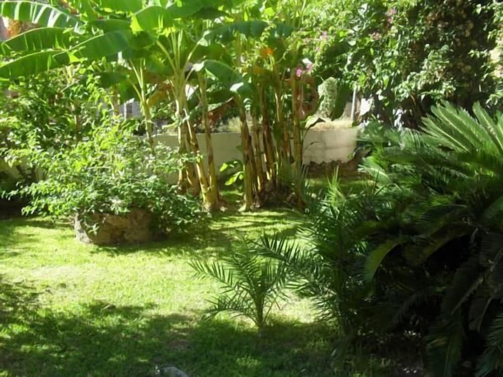 Фото Hostal Escandinavia