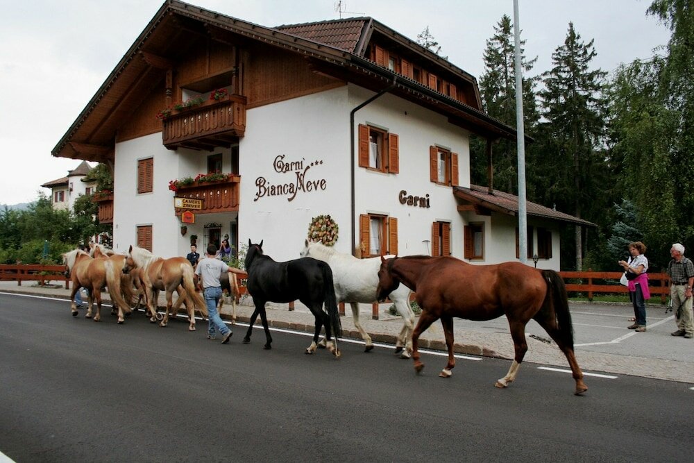 Фото Garni BiancaNeve