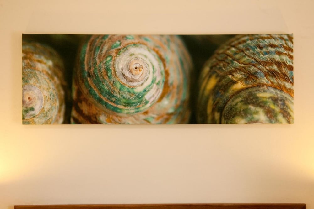 Фото Byron Motor Lodge Motel