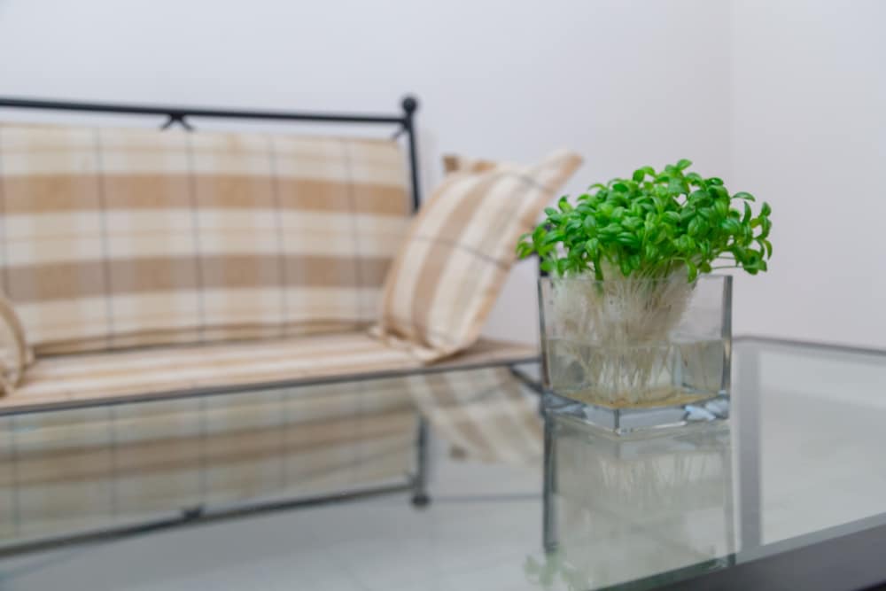 Фото Sunlodge Hotel