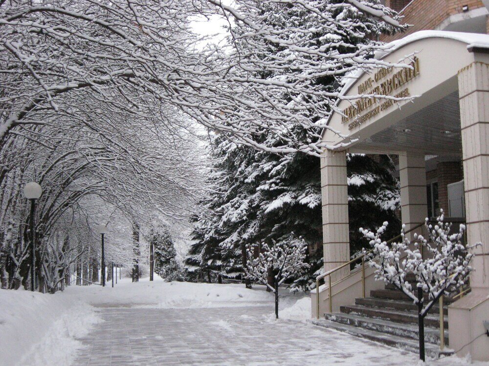 Фото Шереметьевский