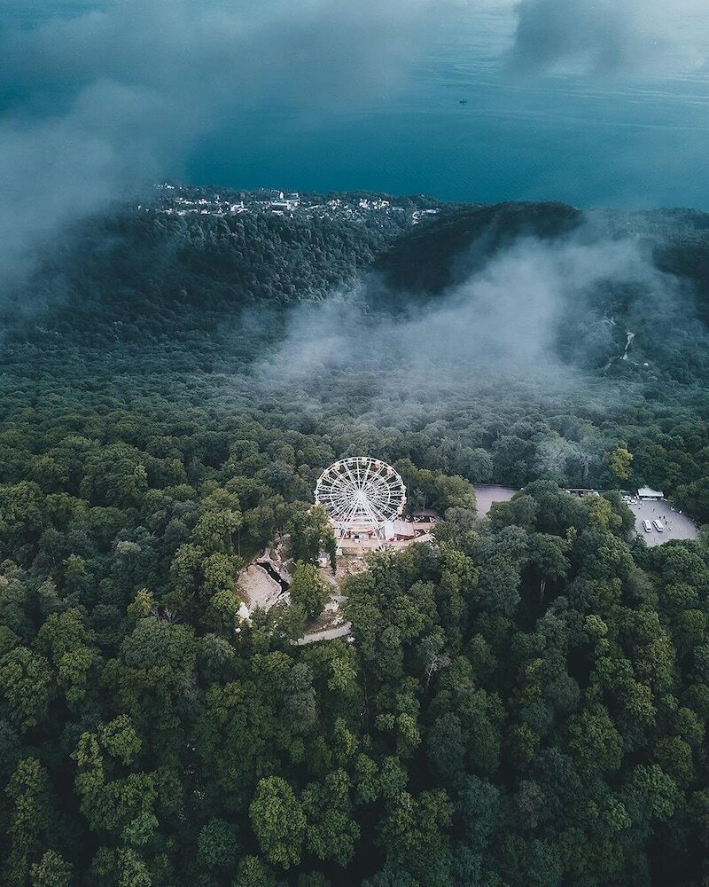 Фото Клевер