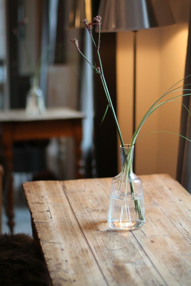 Фото The Backyard