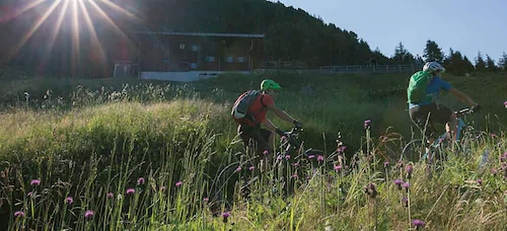 Фото Hotel Alpenhof