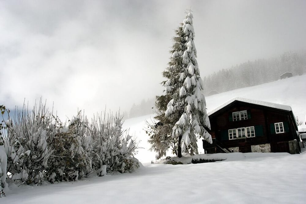 Фото Pension Gimmelwald