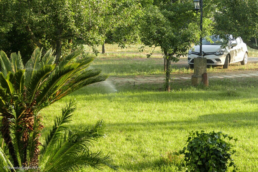 Фото Tenuta il Grifo