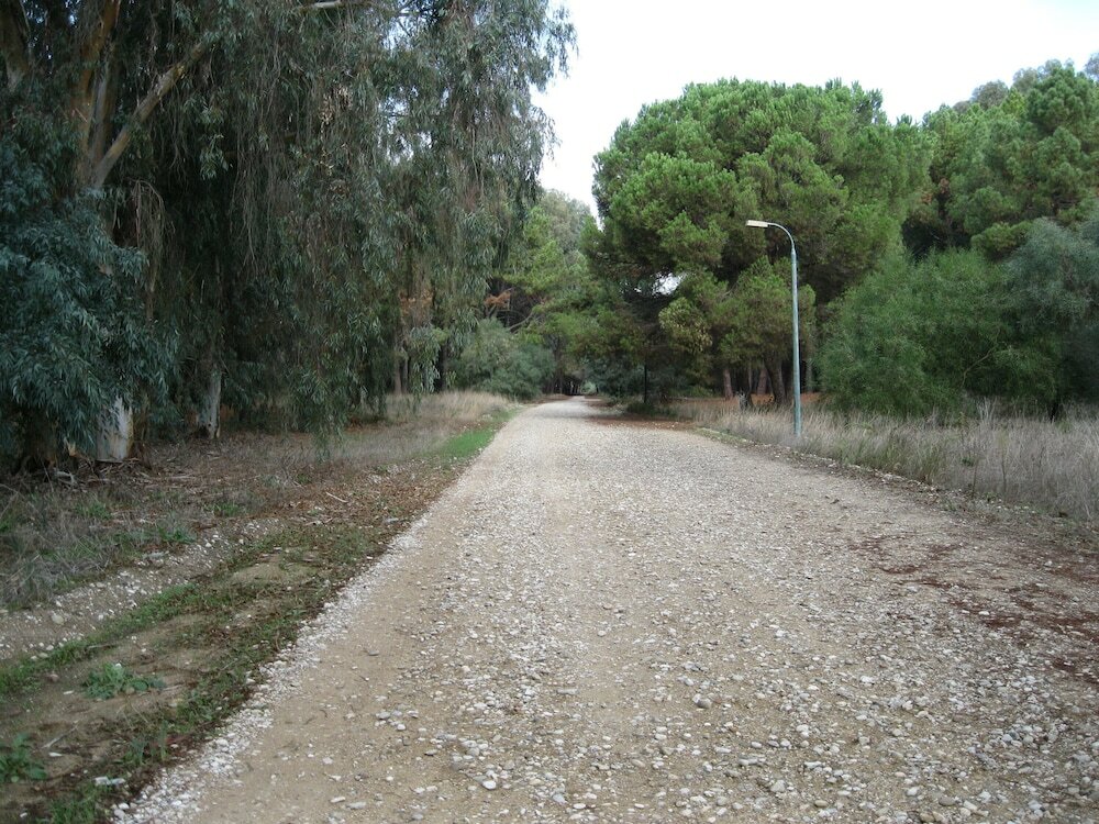 Фото Giovanni Mare