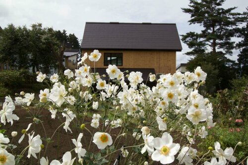 Гостиница Harvest Eco House