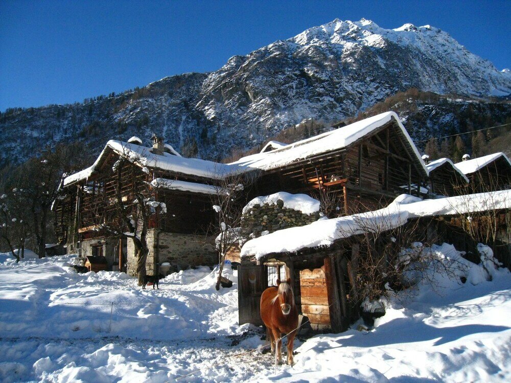 Фото Agriturismo Alagna