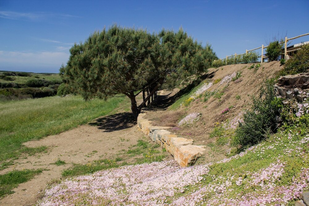 Фото Cala Scoglietti