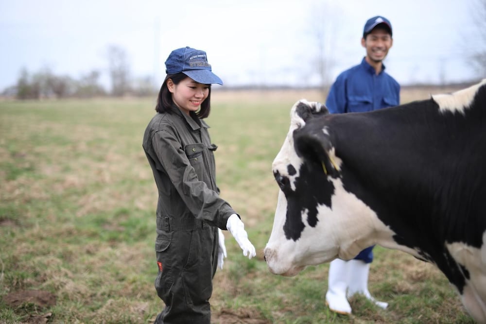 Фото Kushiro Guesthouse Cook A Doodle Doo - Hostel