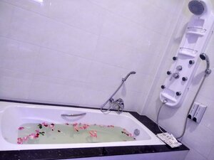 Гостиница Fortune Bagan