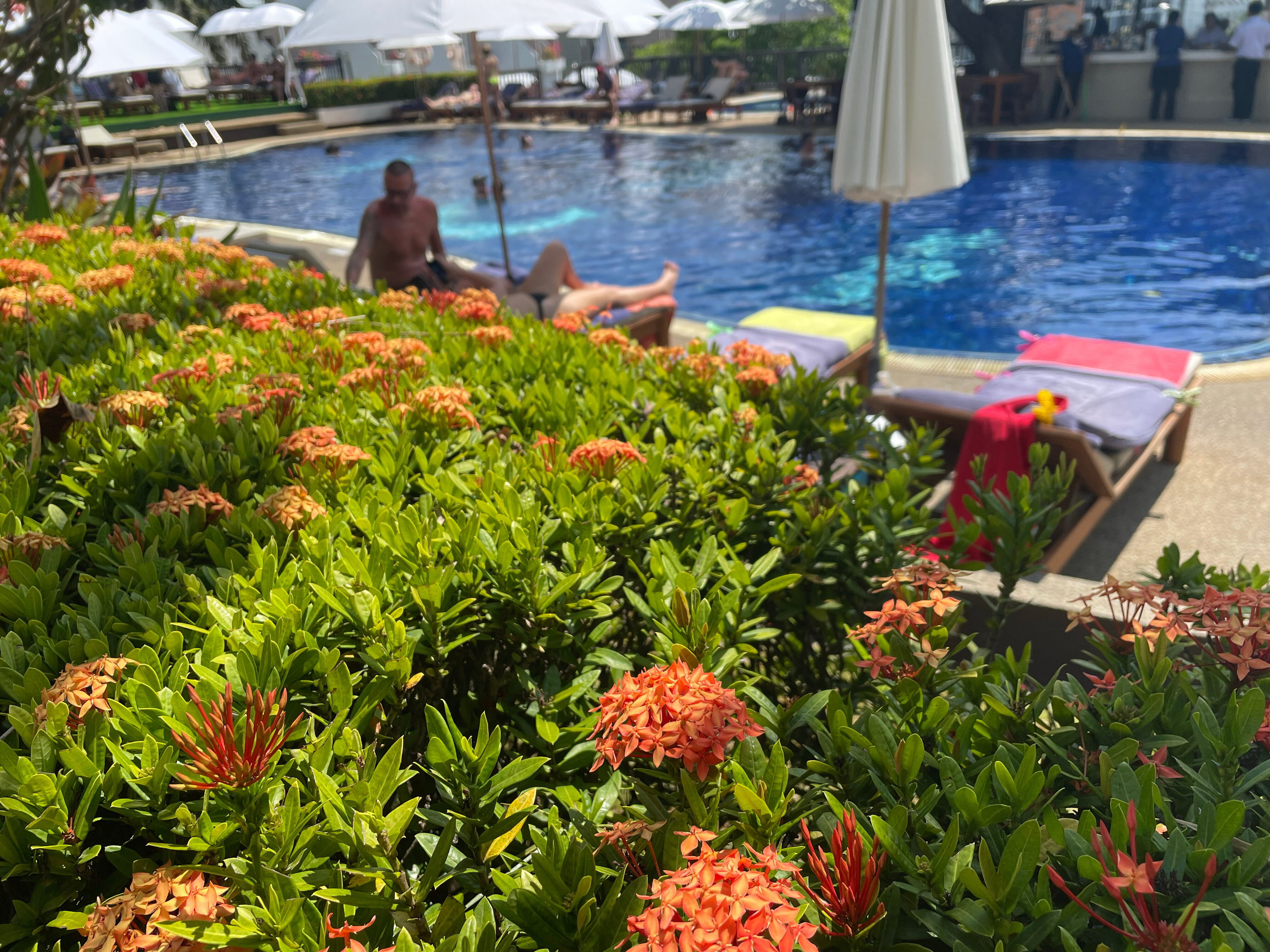 Фото Best Western Phuket Ocean Resort