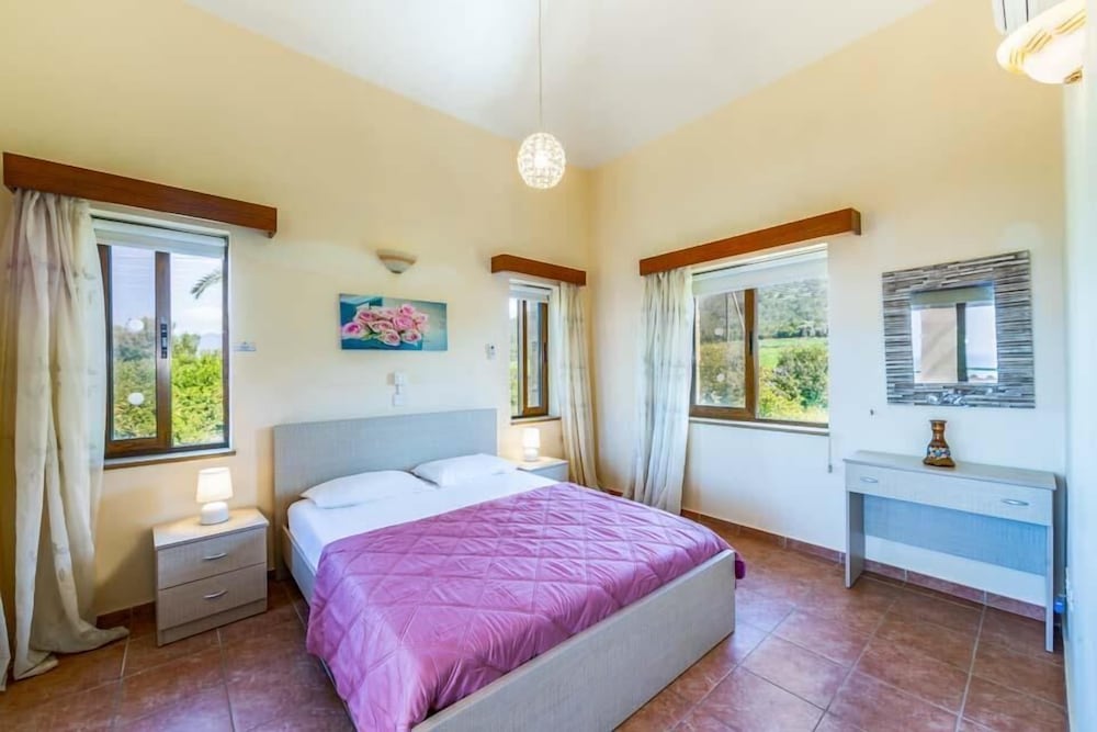 Фото Dream Palace