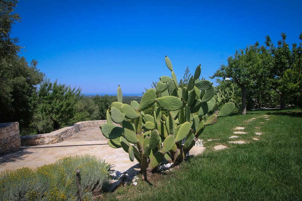 Фото Trulli della Contessa