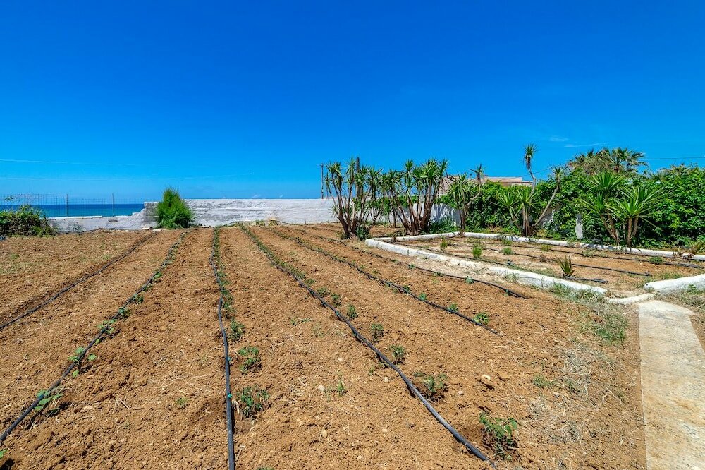 Фото Blue Dream Hotel