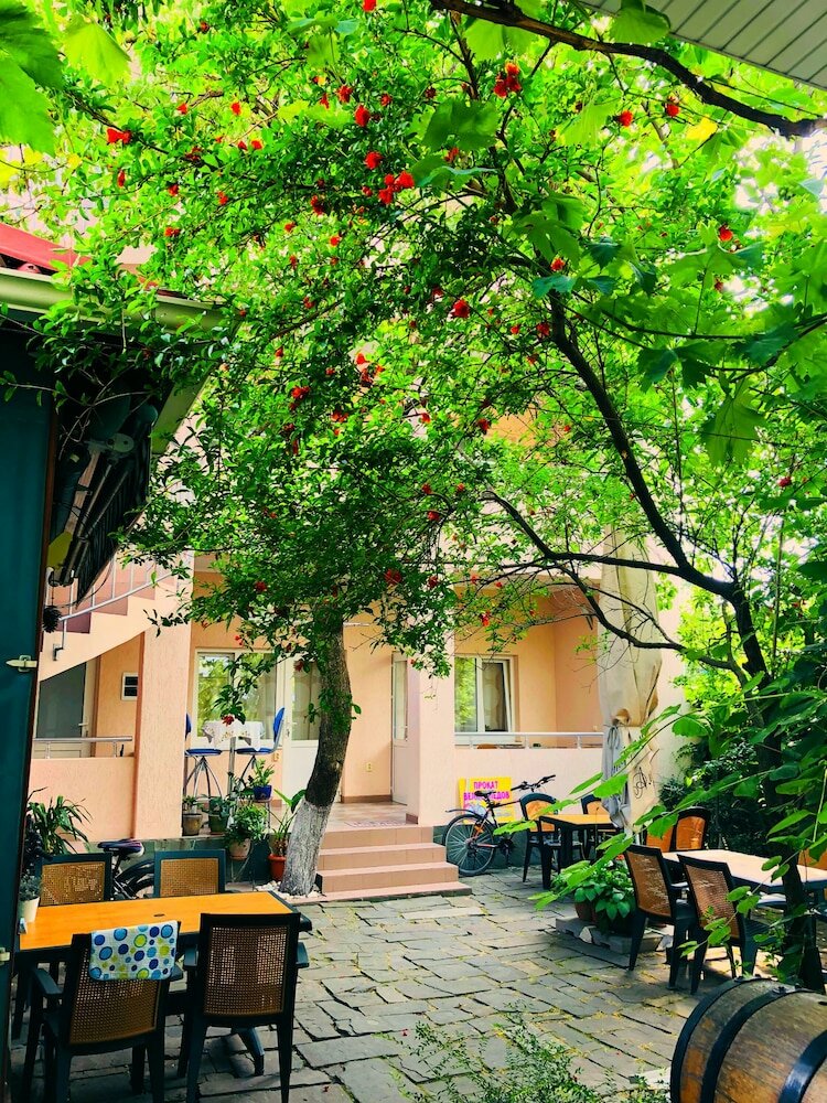 Фото Абрикос