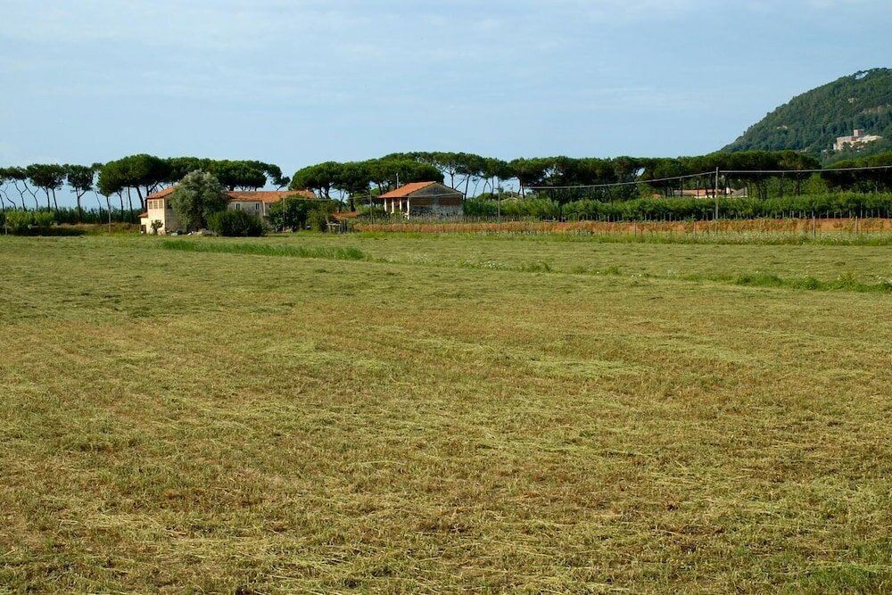 Фото Residence Pax