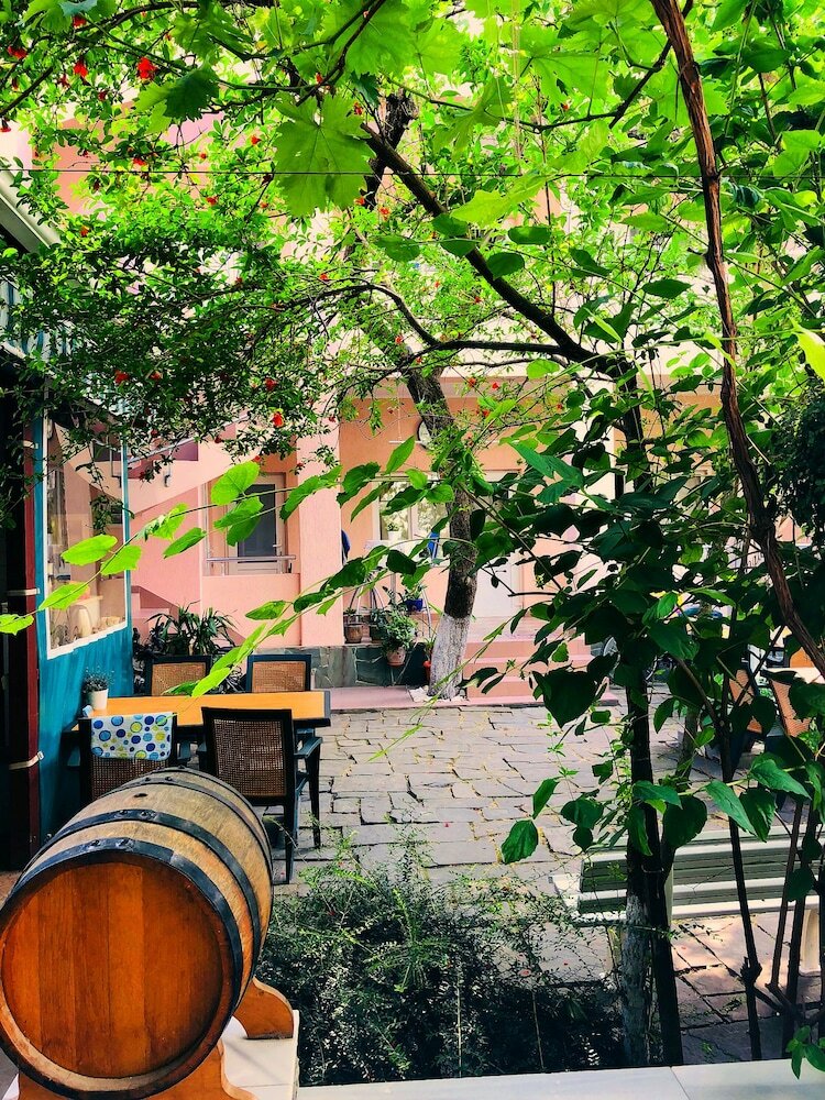 Фото Абрикос